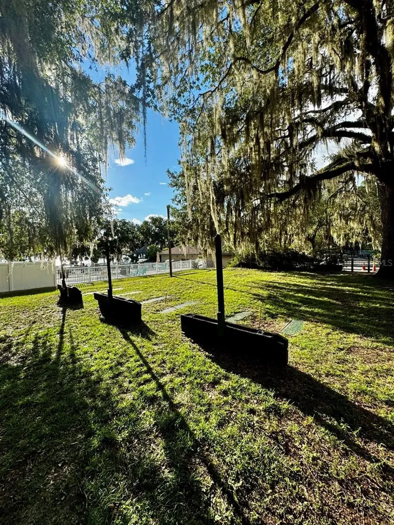 14365 NE 252nd Court Road Salt Springs FL 32134