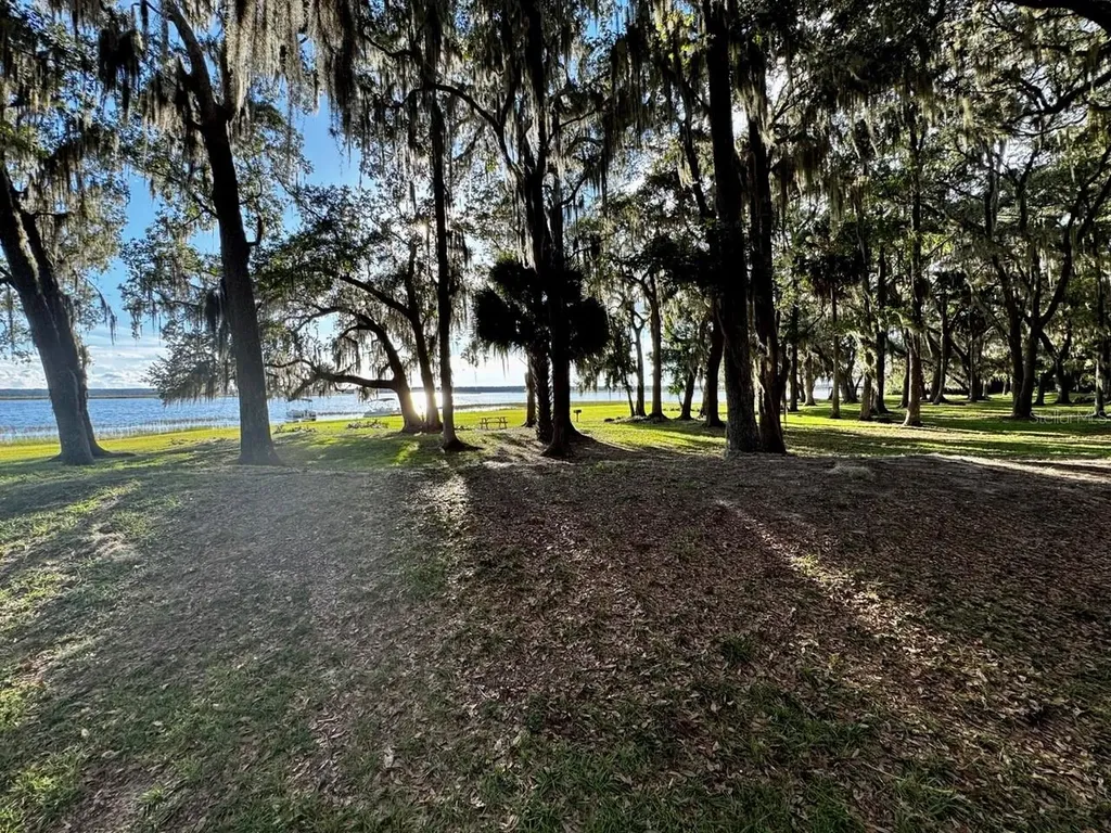14365 NE 252nd Court Road Salt Springs FL 32134