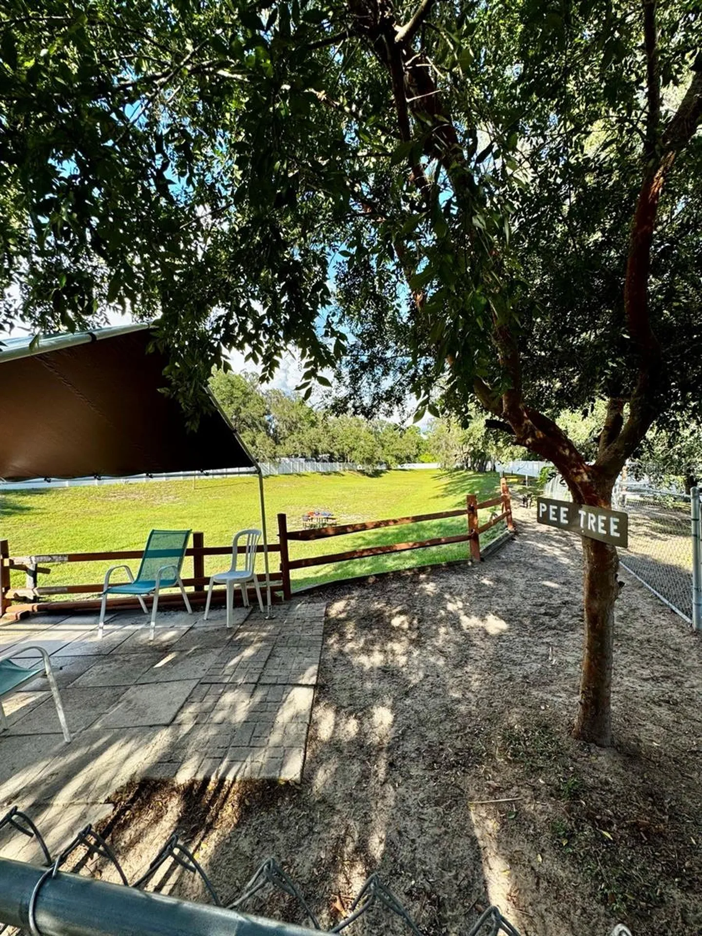 14365 NE 252nd Court Road Salt Springs FL 32134