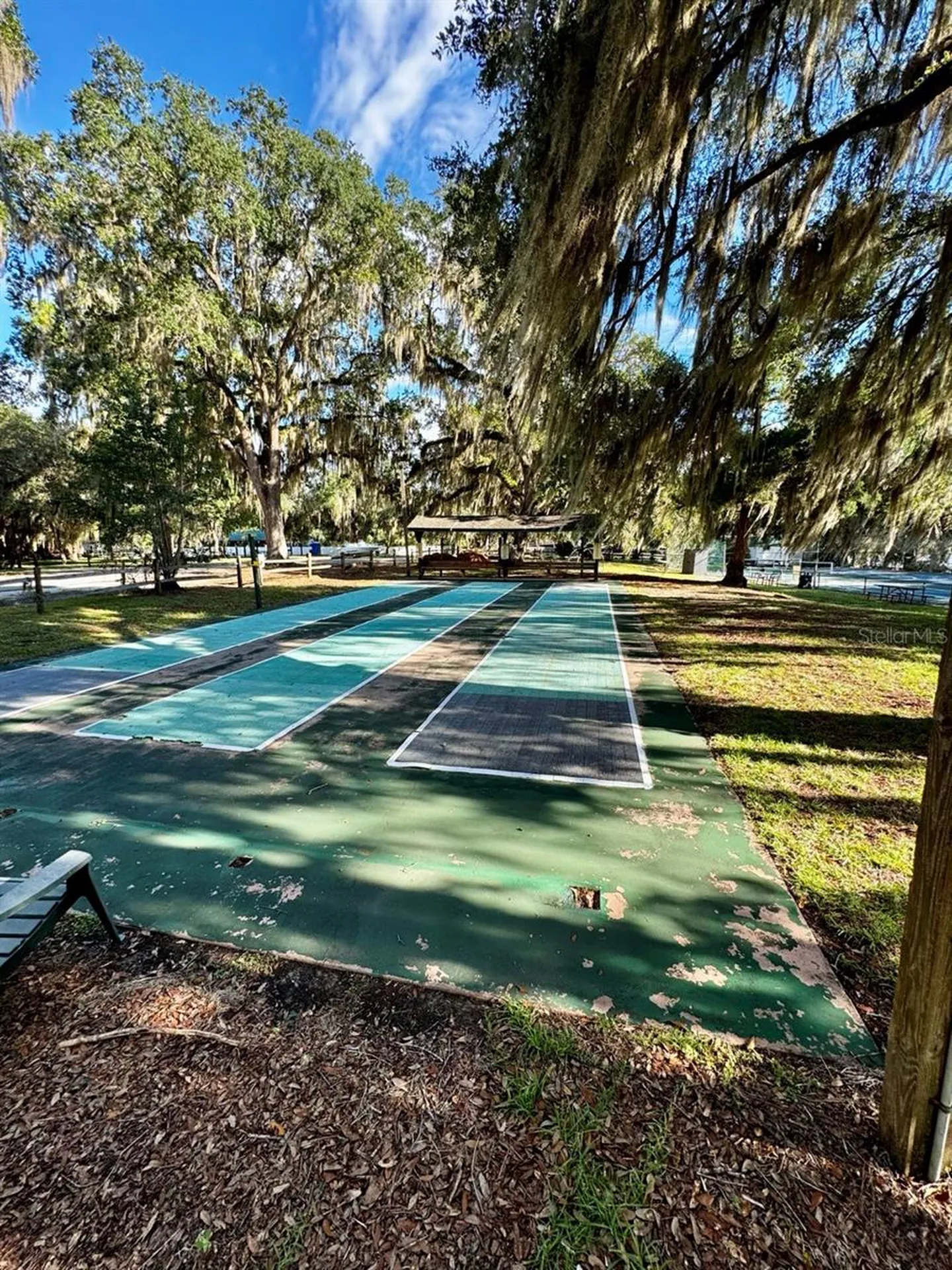 14365 NE 252nd Court Road Salt Springs FL 32134