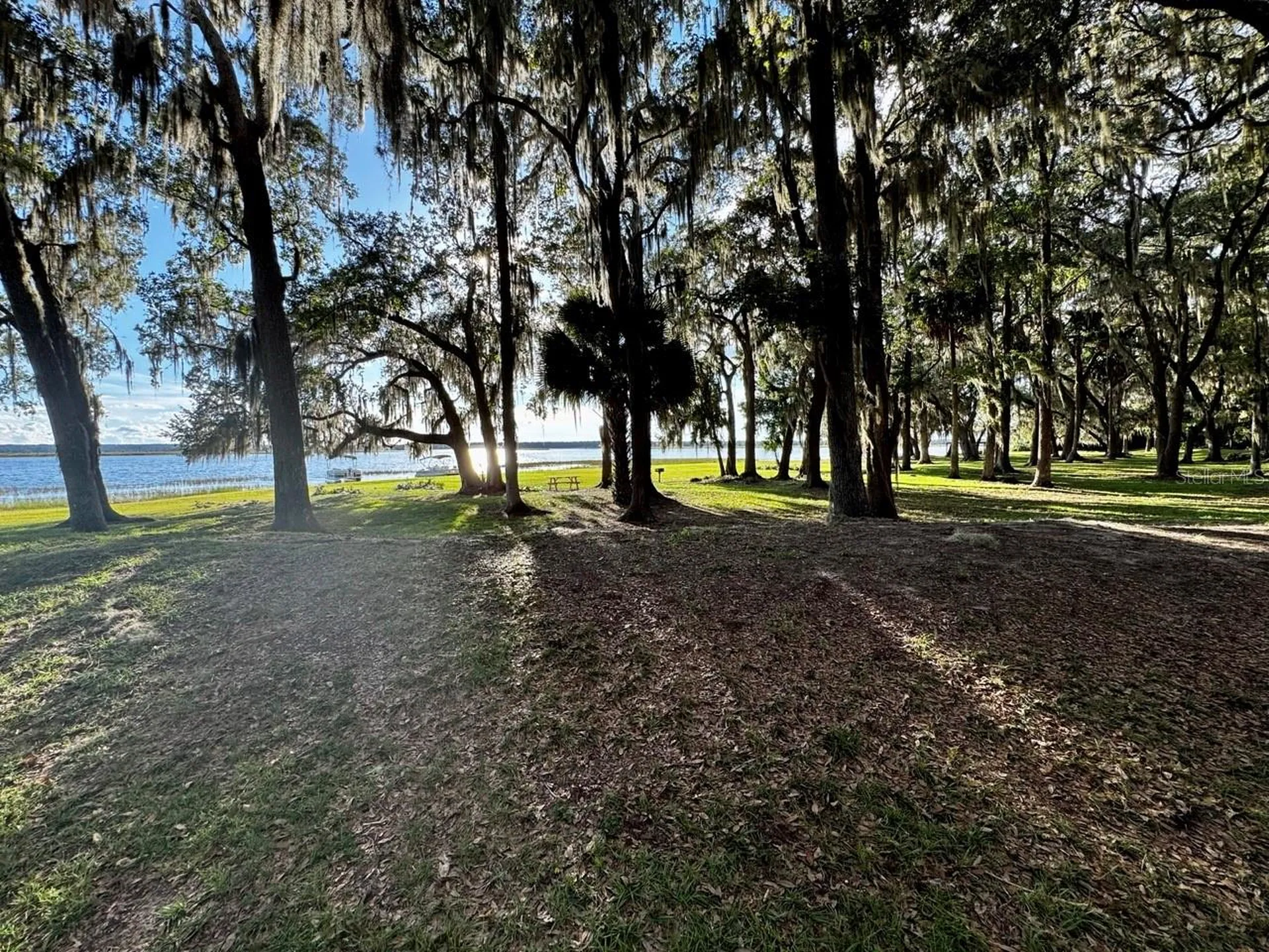 14365 NE 252nd Court Road Salt Springs FL 32134
