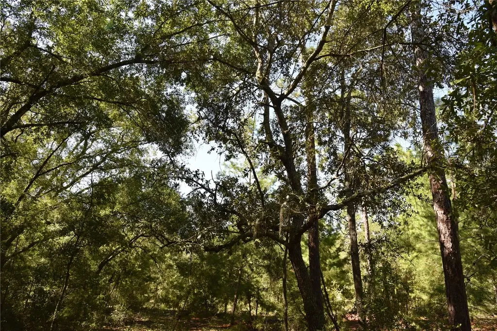 11ST Street Interlachen FL 32148