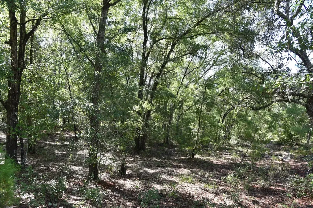 11ST Street Interlachen FL 32148