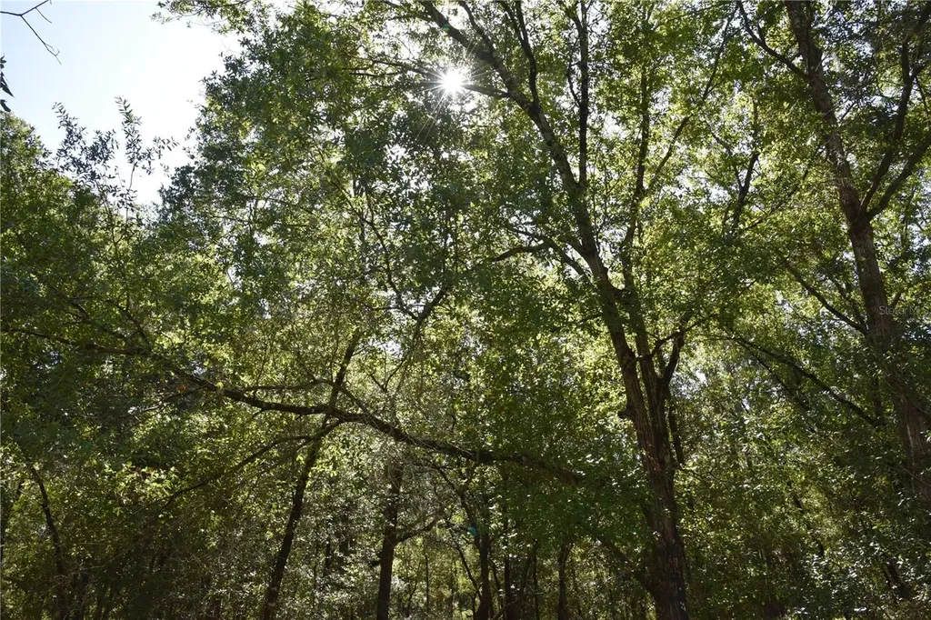 11ST Street Interlachen FL 32148