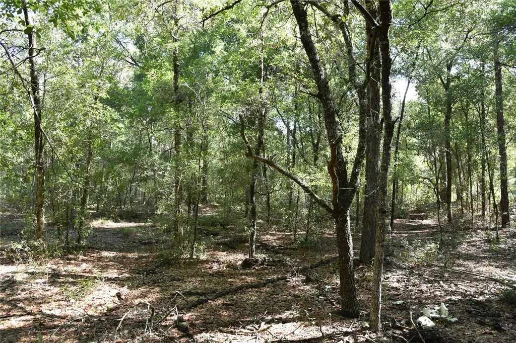 11ST Street Interlachen FL 32148