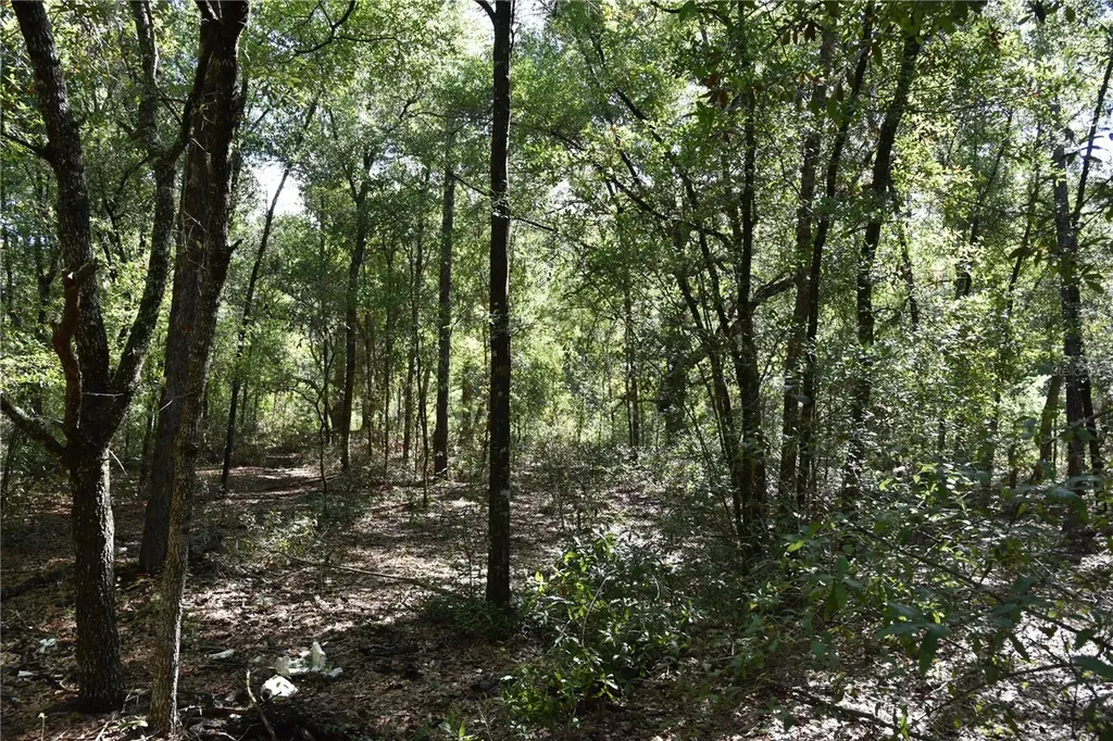11ST Street Interlachen FL 32148