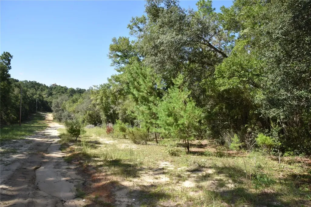 11ST Street Interlachen FL 32148