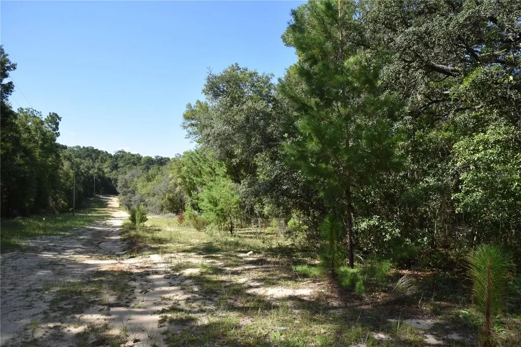 11ST Street Interlachen FL 32148