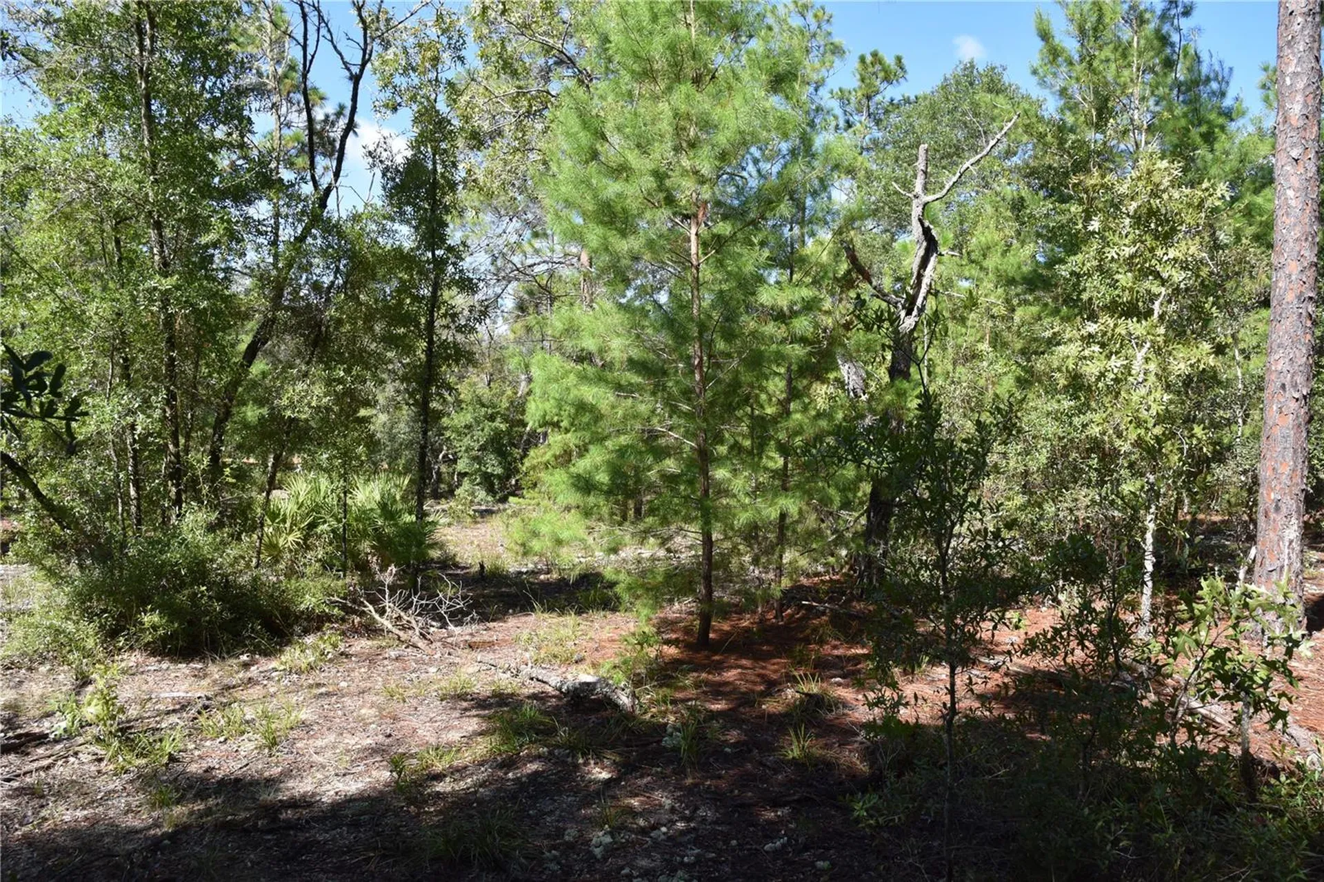 11ST Street Interlachen FL 32148