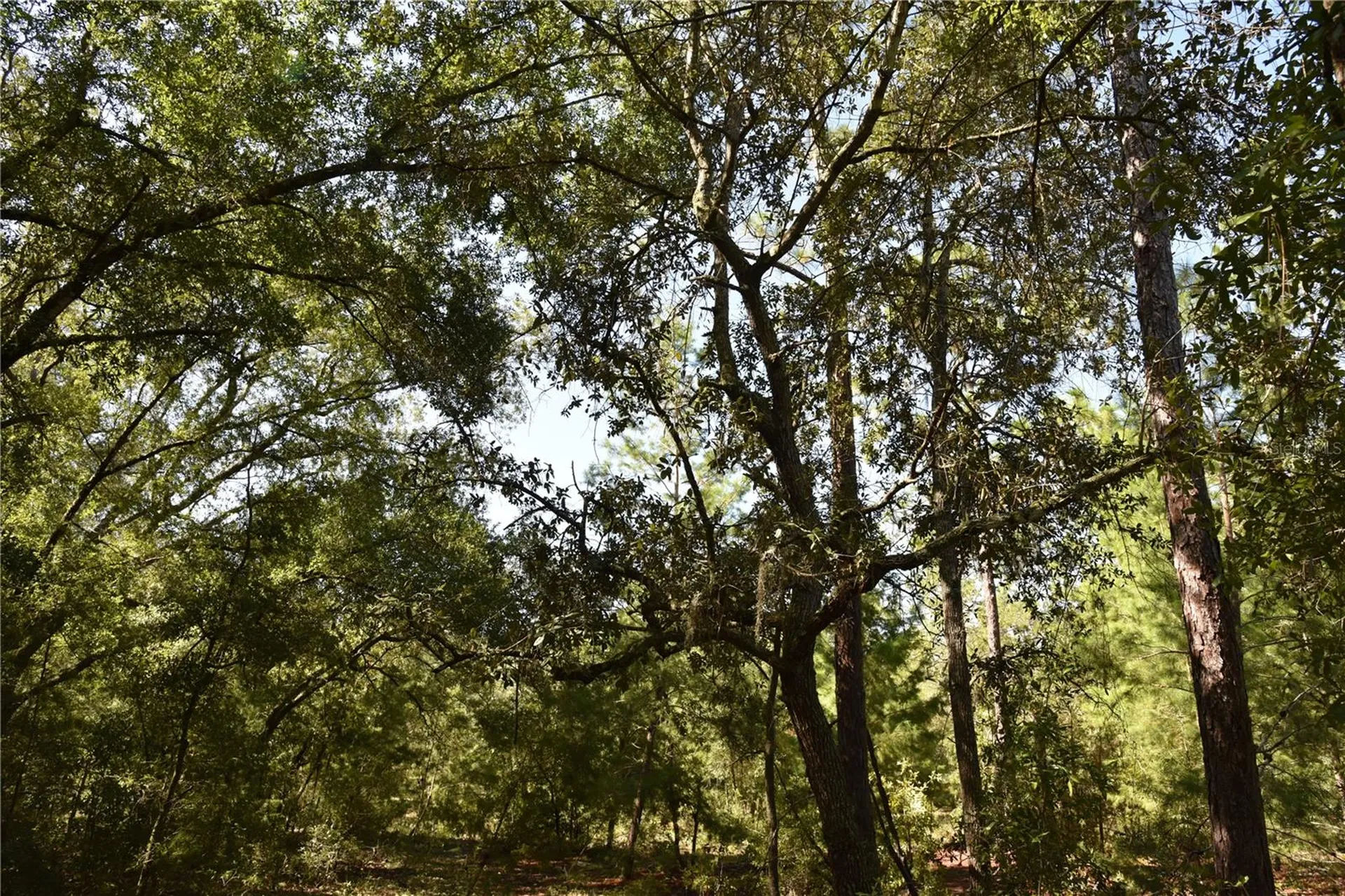 11ST Street Interlachen FL 32148
