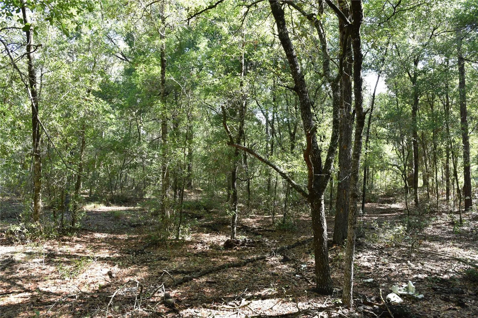 11ST Street Interlachen FL 32148