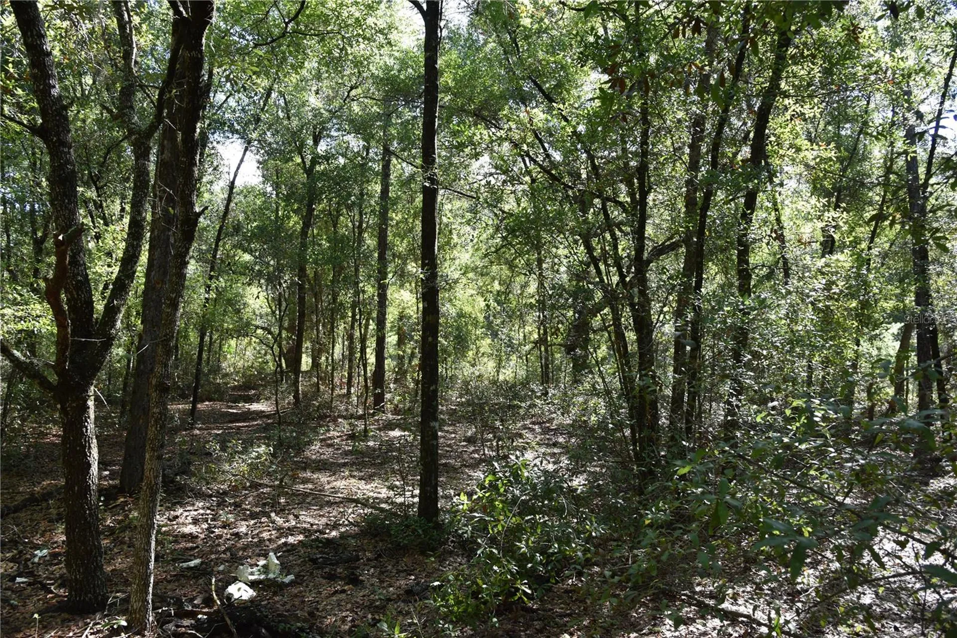 11ST Street Interlachen FL 32148