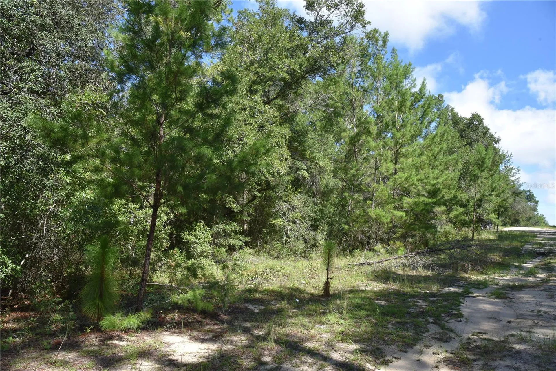 11ST Street Interlachen FL 32148