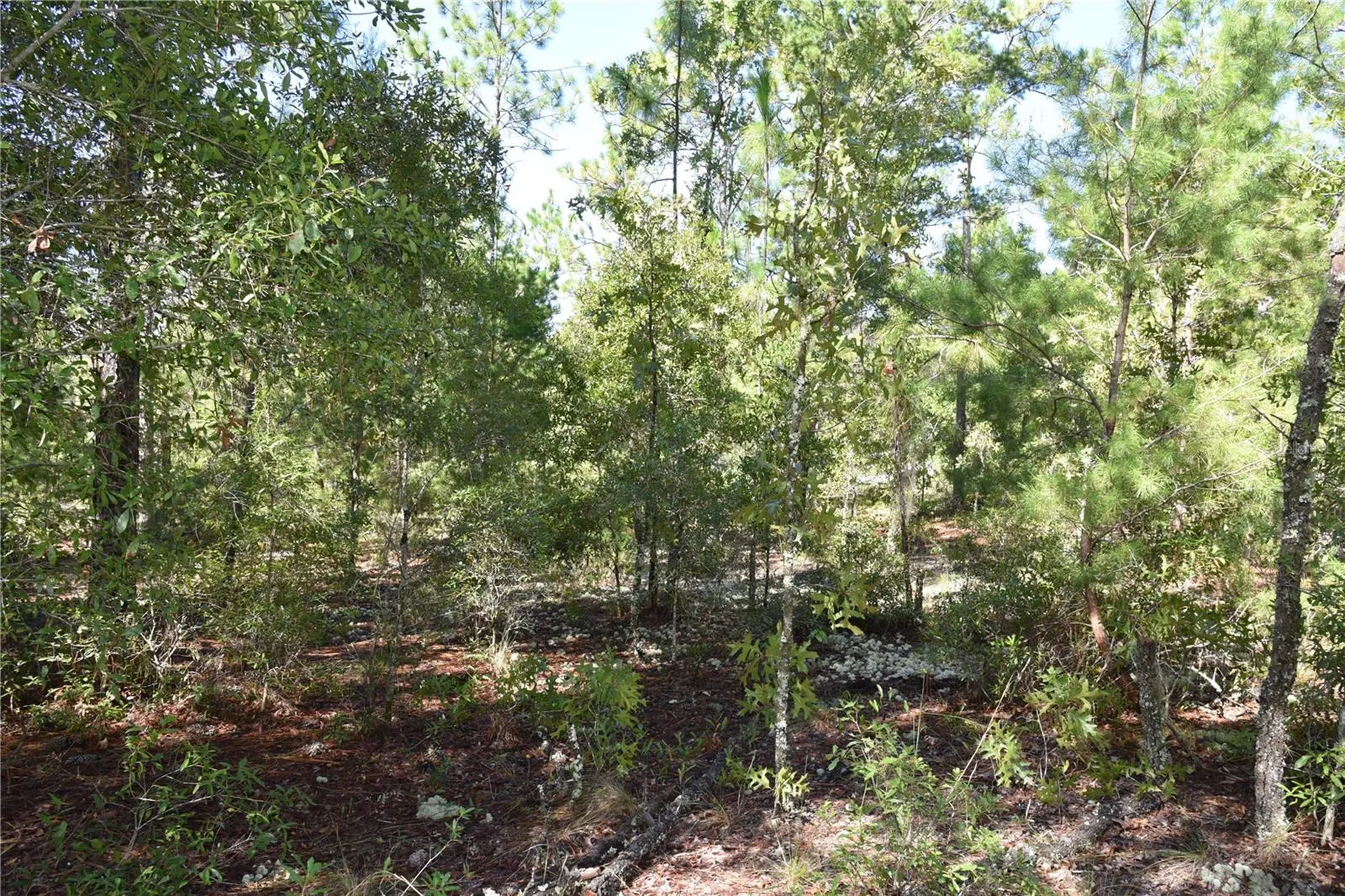 11ST Street Interlachen FL 32148