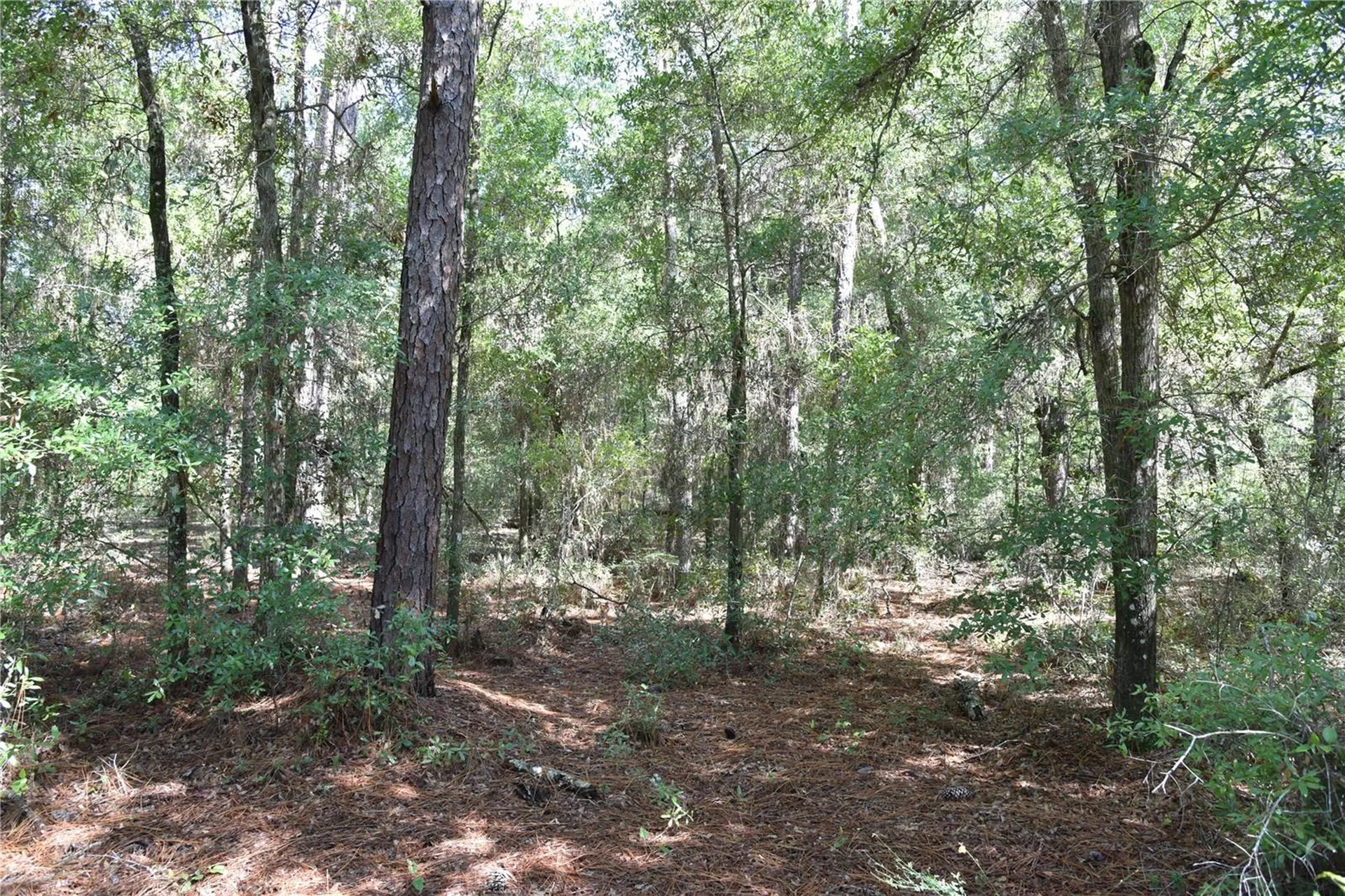 11ST Street Interlachen FL 32148