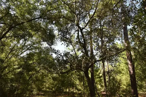 11ST Street Interlachen FL 32148