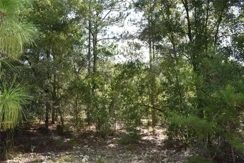 11ST Street Interlachen FL 32148