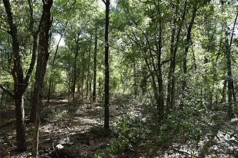 11ST Street Interlachen FL 32148