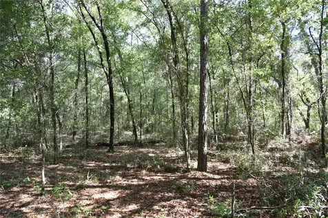 11ST Street Interlachen FL 32148