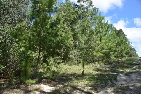 11ST Street Interlachen FL 32148