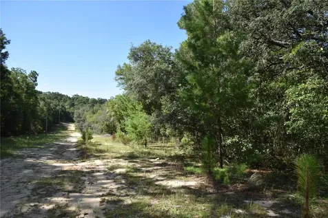 11ST Street Interlachen FL 32148