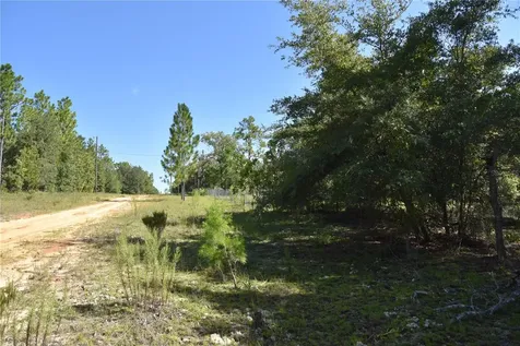 11ST Street Interlachen FL 32148