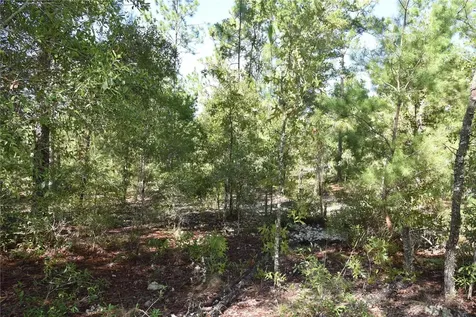 11ST Street Interlachen FL 32148