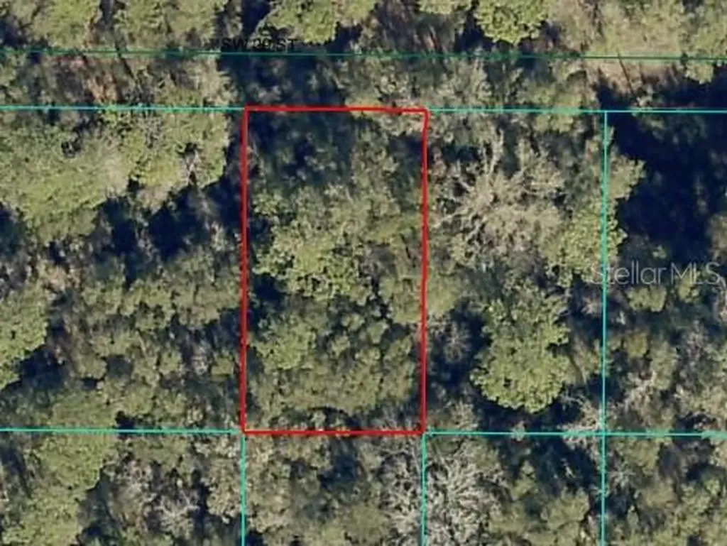 SW 29th Street Ocala FL 34481