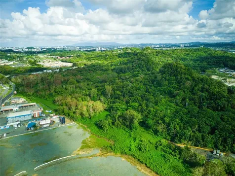 Carretera 2, Km 3.1 Bayamon PR 00961