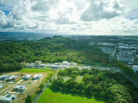 Carretera 2, Km 3.1 Bayamon PR 00961