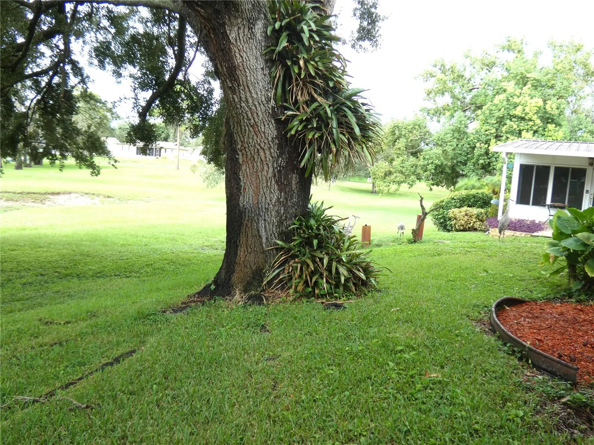 8140 San Felipe Court Port Richey FL 34668