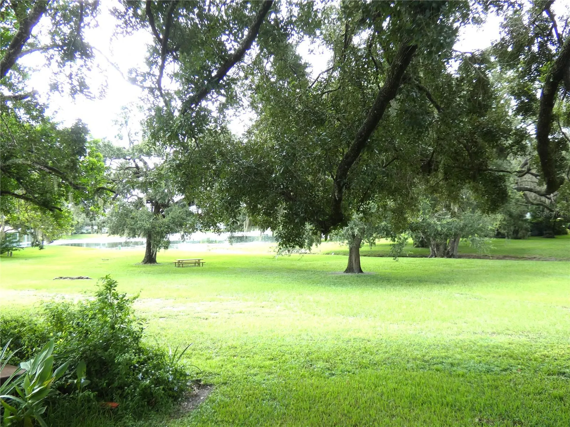 8140 San Felipe Court Port Richey FL 34668