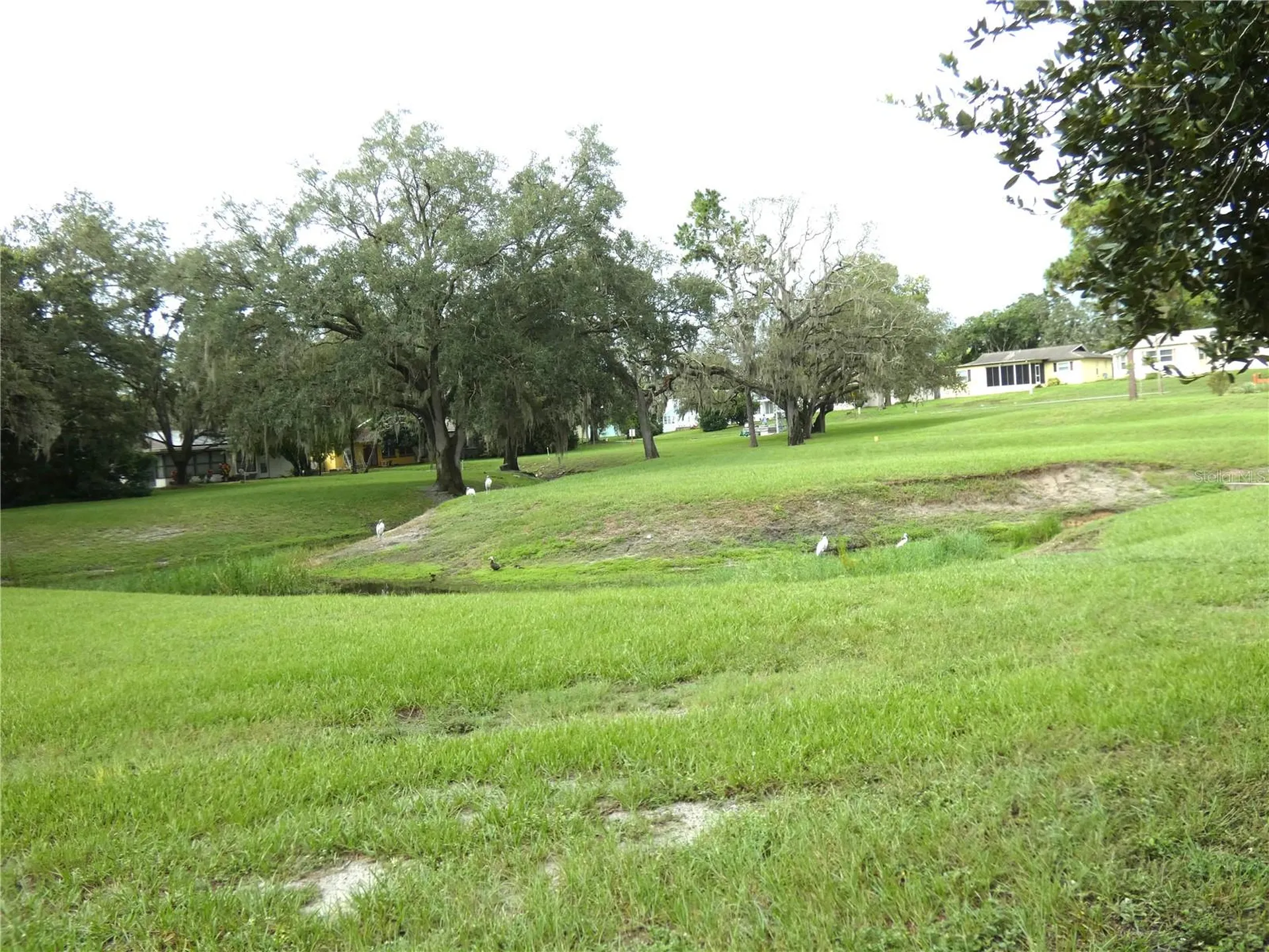 8140 San Felipe Court Port Richey FL 34668