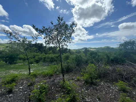 Las Delicias 1805 Avenida Circunvalación Ponce PR 00731