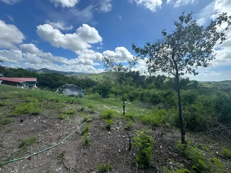 Las Delicias 1805 Avenida Circunvalación Ponce PR 00731