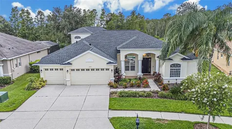2919 Marble Crest Drive Land O Lakes FL 34638