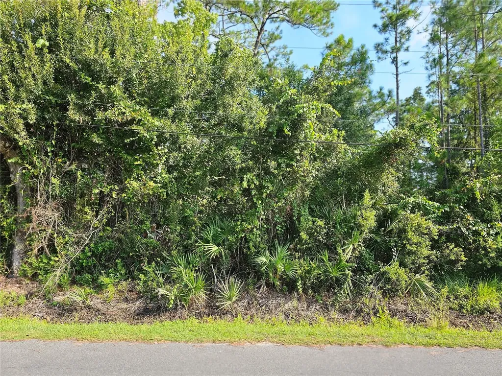 801 Franz Street Bunnell FL 32110
