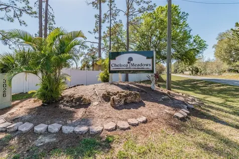4427 Dylan Loop Land O Lakes FL 34639