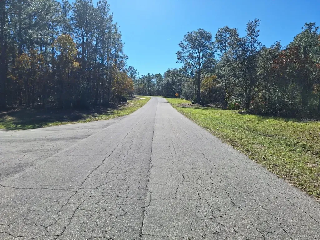 76 SW Court Court SW Dunnellon FL 34432