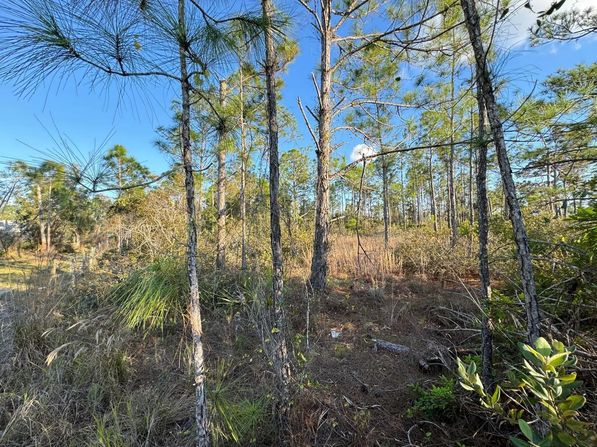 8108 Austrian Boulevard Punta Gorda FL 33982