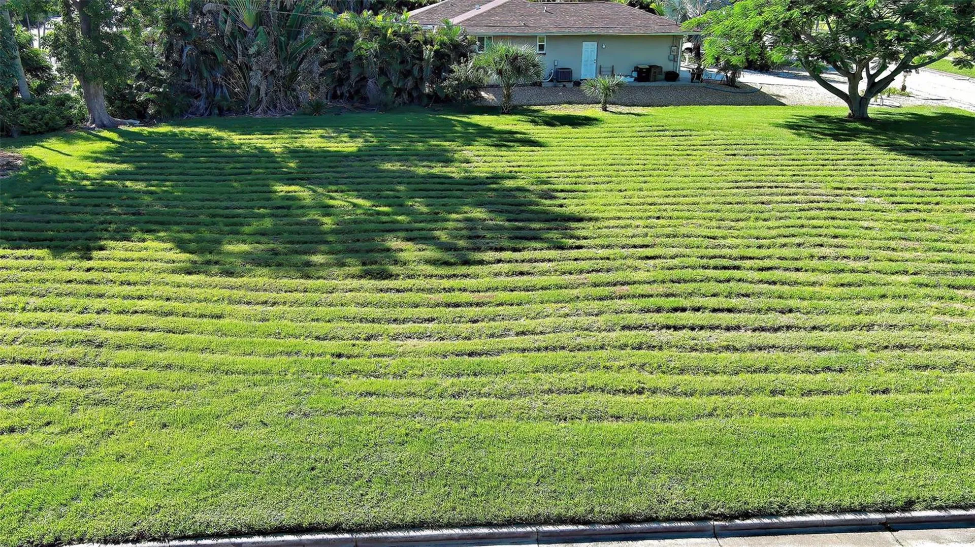 527 Palm Avenue Punta Gorda FL 33950