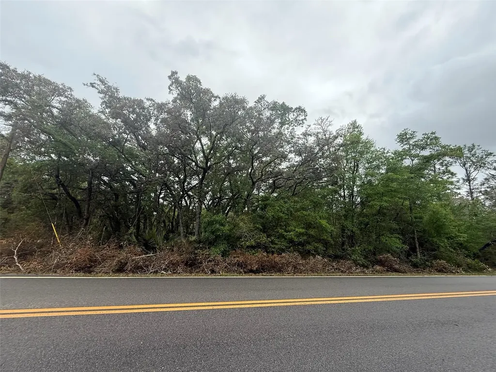 Tbd Theresa Avenue Interlachen FL 32148