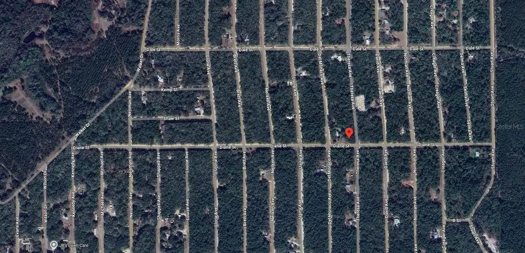 Tbd Theresa Avenue Interlachen FL 32148