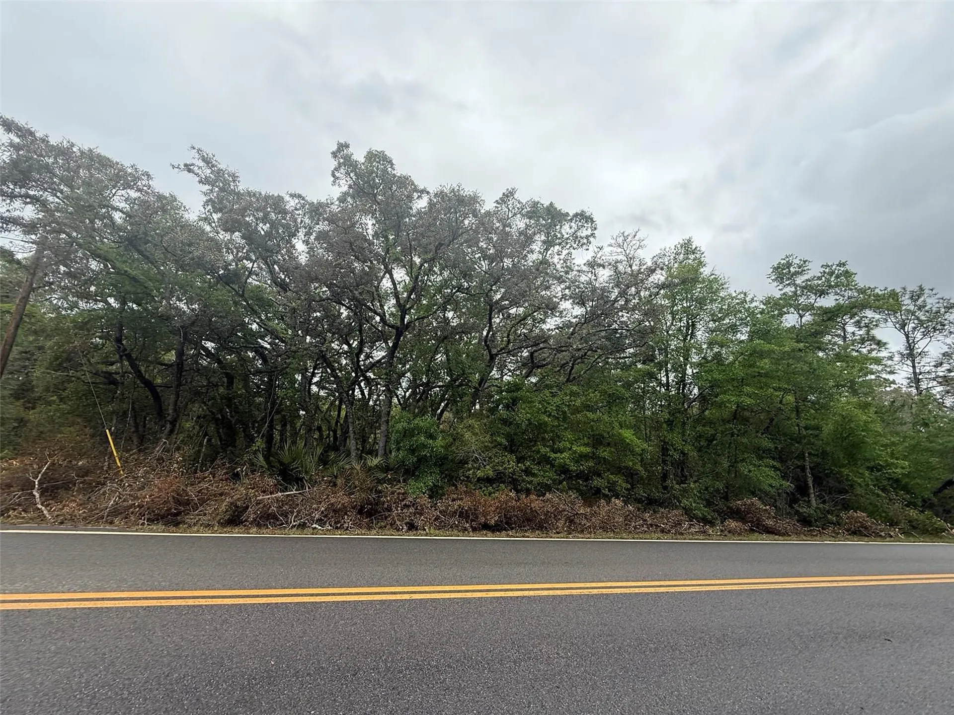 Tbd Theresa Avenue Interlachen FL 32148
