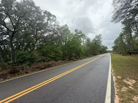 Tbd Theresa Avenue Interlachen FL 32148