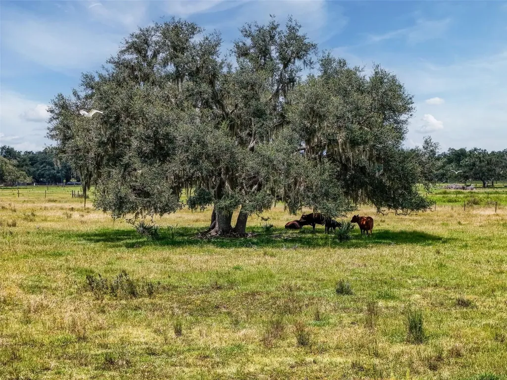 12950 River Road Myakka City FL 34251