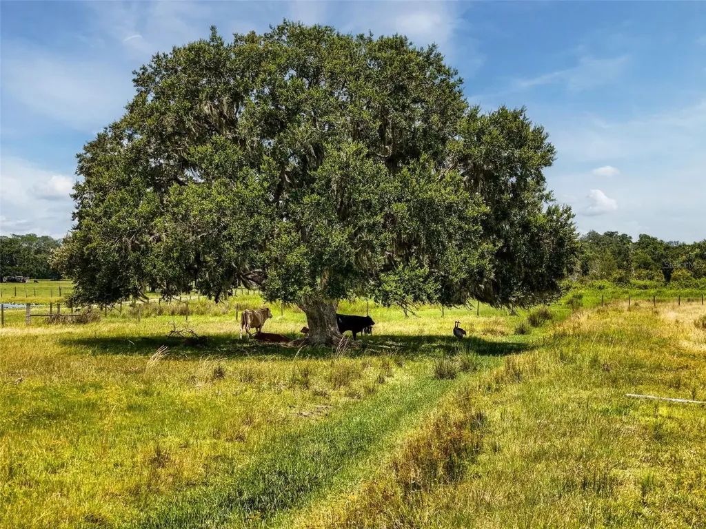 12950 River Road Myakka City FL 34251