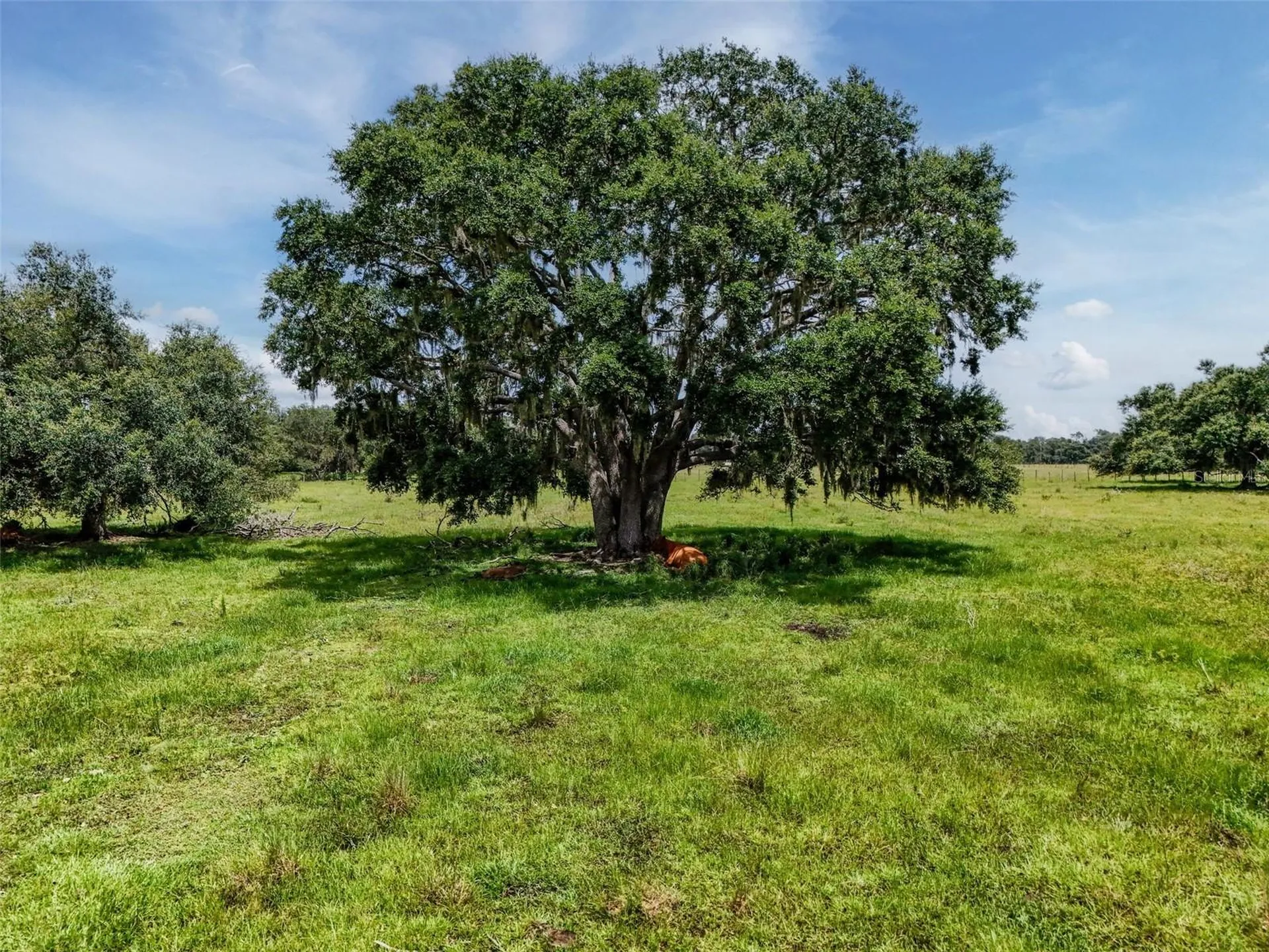 12950 River Road Myakka City FL 34251