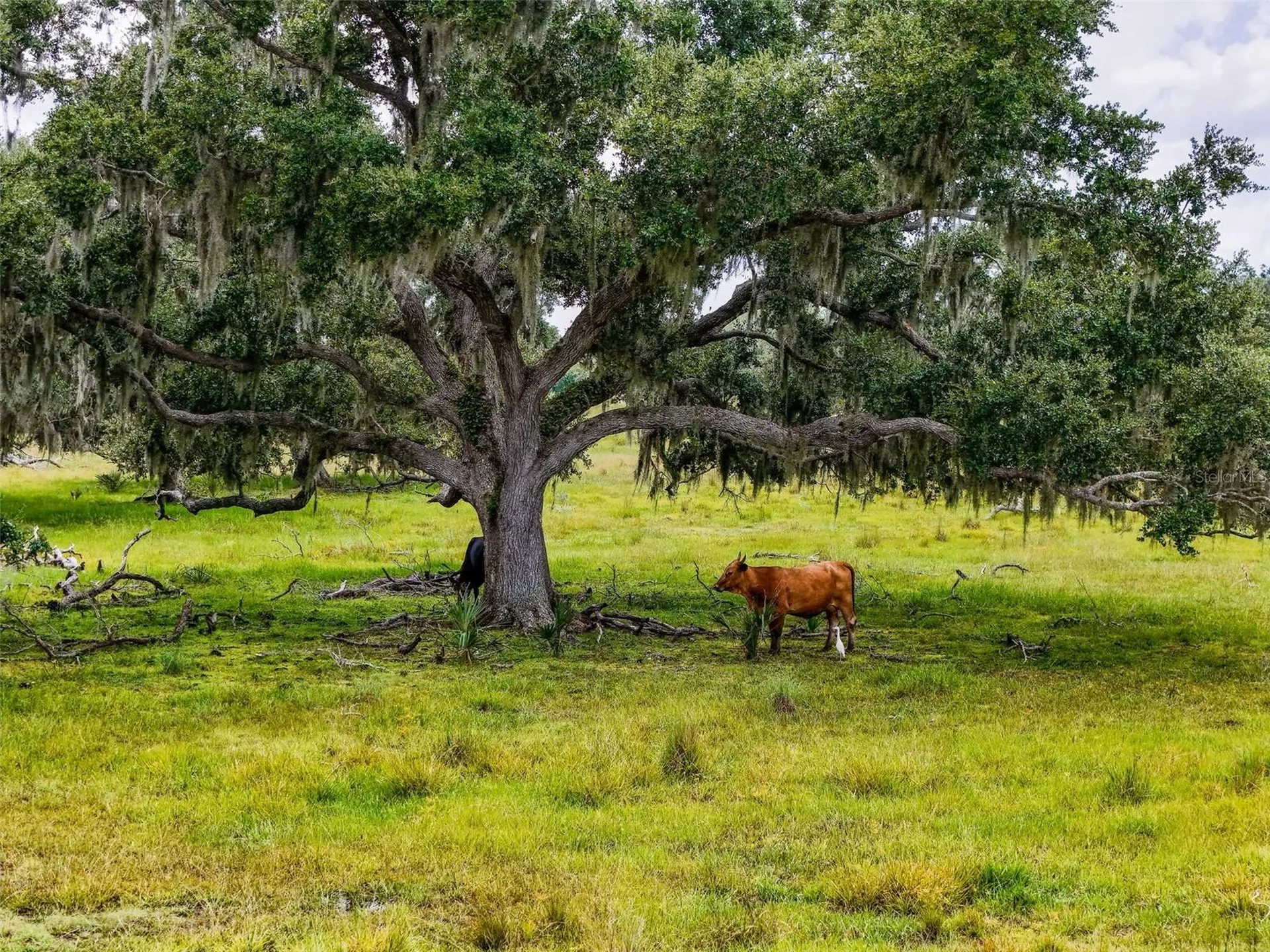 12950 River Road Myakka City FL 34251