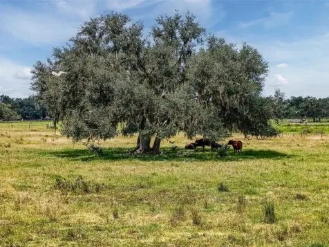 12950 River Road Myakka City FL 34251